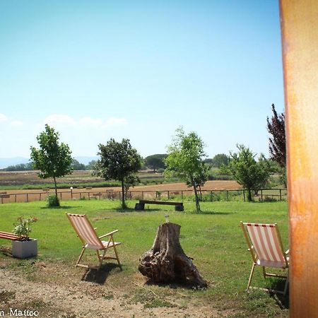 Agriturismo San Matteo تاركوينيا المظهر الخارجي الصورة