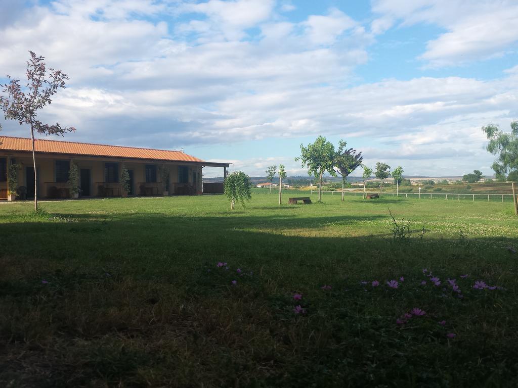 Agriturismo San Matteo تاركوينيا الغرفة الصورة