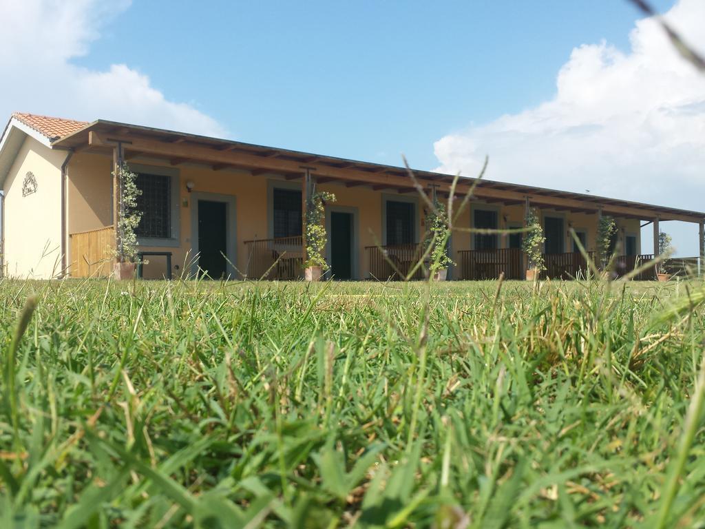 Agriturismo San Matteo تاركوينيا الغرفة الصورة