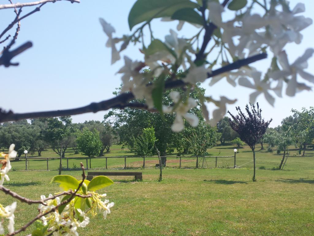 Agriturismo San Matteo تاركوينيا الغرفة الصورة
