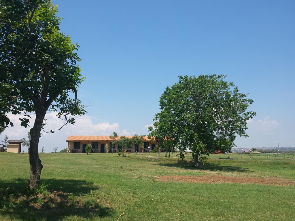 Agriturismo San Matteo تاركوينيا الغرفة الصورة
