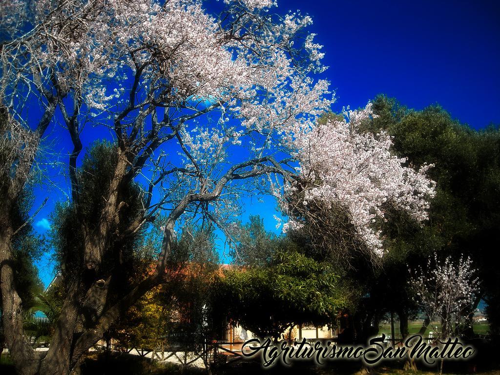 Agriturismo San Matteo تاركوينيا المظهر الخارجي الصورة