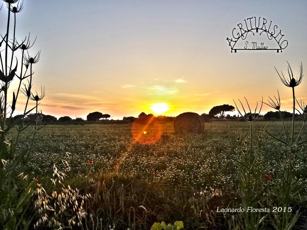 Agriturismo San Matteo تاركوينيا المظهر الخارجي الصورة