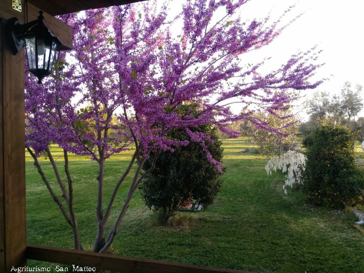 Agriturismo San Matteo تاركوينيا المظهر الخارجي الصورة