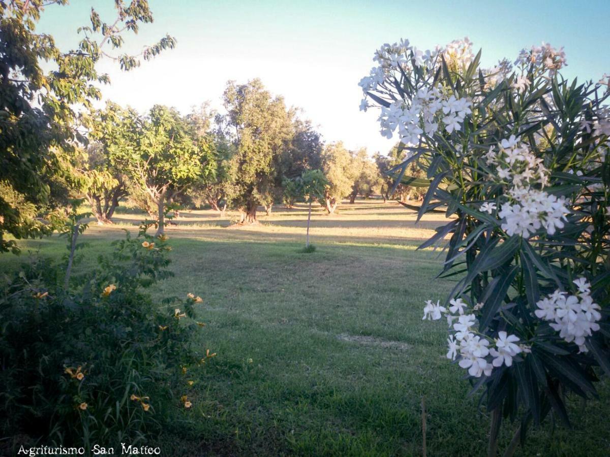 Agriturismo San Matteo تاركوينيا المظهر الخارجي الصورة