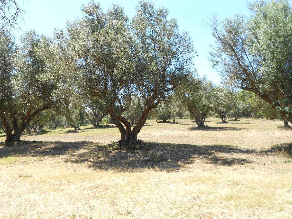 Agriturismo San Matteo تاركوينيا المظهر الخارجي الصورة