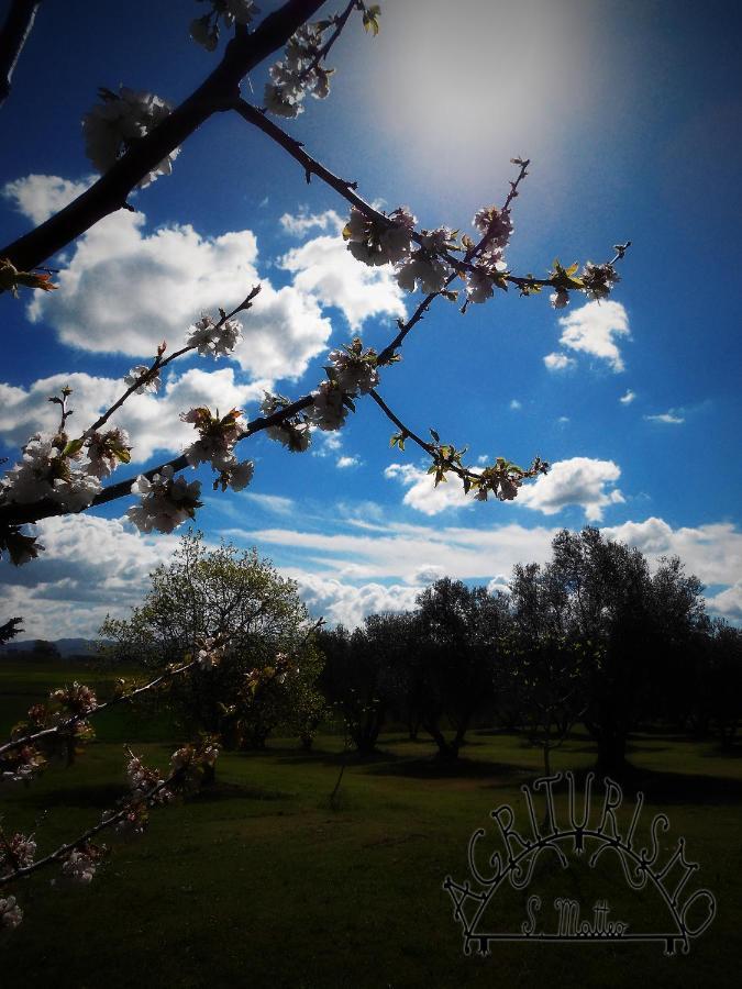 Agriturismo San Matteo تاركوينيا المظهر الخارجي الصورة