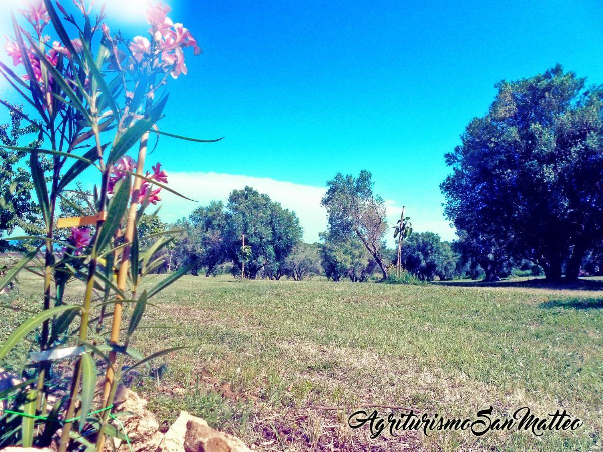 Agriturismo San Matteo تاركوينيا المظهر الخارجي الصورة