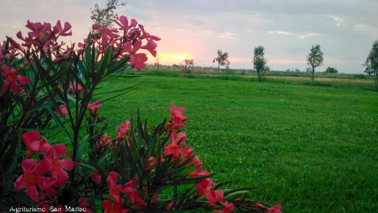 Agriturismo San Matteo تاركوينيا المظهر الخارجي الصورة